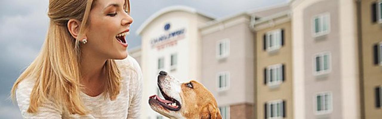 Candlewood Suites Dfw West - Hurst By Ihg エクステリア 写真
